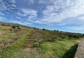 Finca rústica en venta en Tortosa ref: TR360601 foto