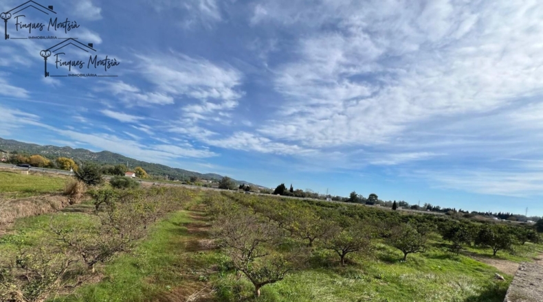 Tarragona - Tortosa - 10220m2