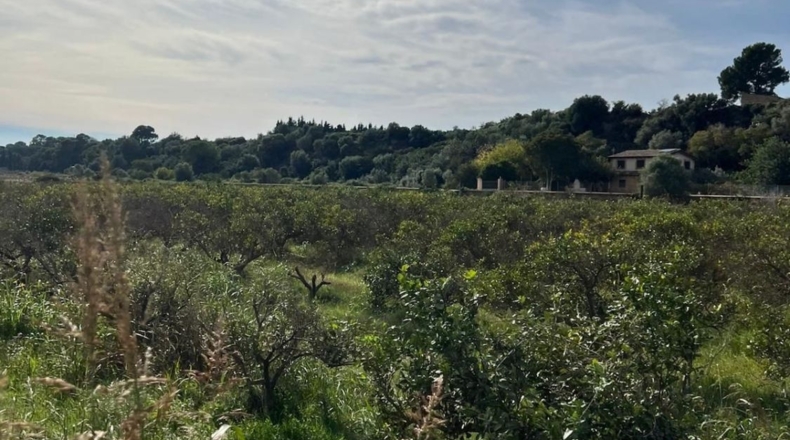 Tarragona - Tortosa - 10220m2