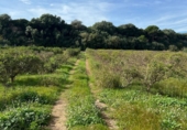 Finca rústica en venta en Tortosa ref: TR360601 foto