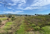 Finca rústica en venta en Tortosa ref: TR360601 foto