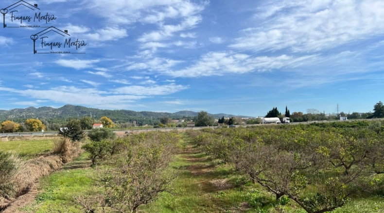 Tarragona - Tortosa - 10220m2