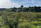 Finca rústica en venta en Tortosa ref: TR360601 foto