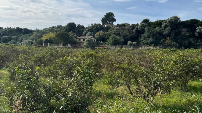 Tarragona - Tortosa - 10220m2