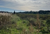 Finca rústica en venta en Tortosa ref: TR360601 foto