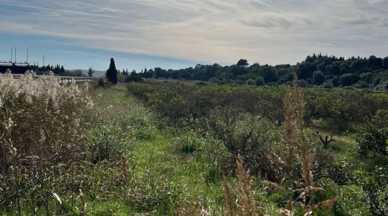 Tarragona - Tortosa - 10220m2