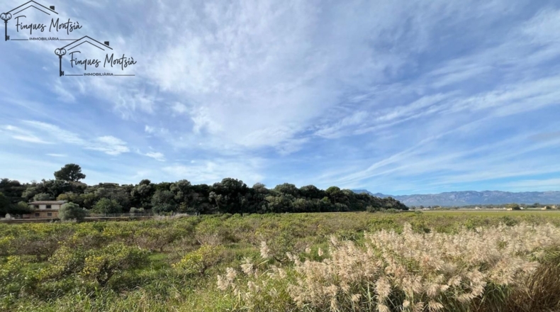 Tarragona - Tortosa - 10220m2