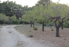 el Perelló 60426&nbsp;м²
