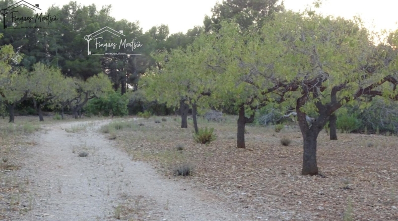 Tarragona - el Perelló - 60426m2