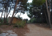 Finca rústica en venta en el Perelló ref: TR360632 foto