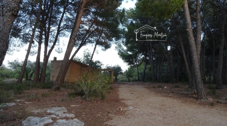 Tarragona - el Perelló - 60426m2