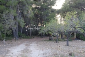 el Perelló 60426&nbsp;м²