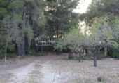 Finca rústica en venta en el Perelló ref: TR360632 foto
