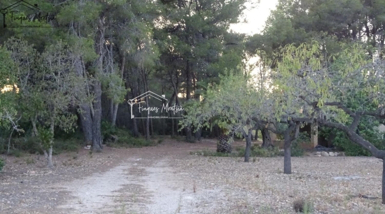 Tarragona - el Perelló - 60426m2