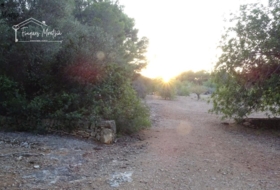 el Perelló 60426&nbsp;м²