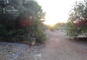Finca rústica en venta en el Perelló ref: TR360632 foto