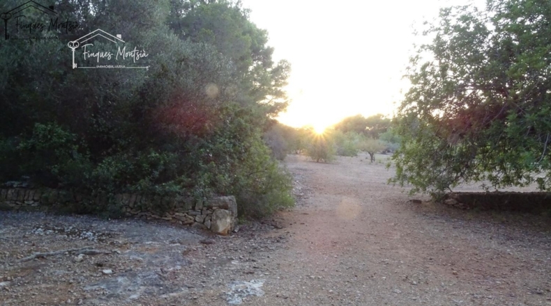 Tarragona - el Perelló - 60426m2