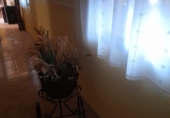 Detached villa with land for sale in Albacete ref: TR309770 photo