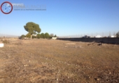 Detached villa with land for sale in Albacete ref: TR309770 photo