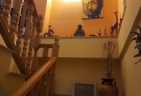 21