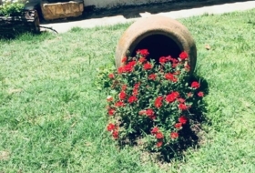 Foto 8