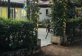 Foto 11
