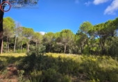 Sòl urbà en venda a Albacete ref.: TR344679 foto