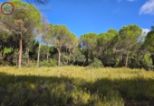 Sòl urbà en venda a Albacete ref.: TR344679 foto