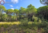 Sòl urbà en venda a Albacete ref.: TR344679 foto