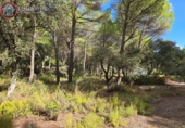 Sòl urbà en venda a Albacete ref.: TR344679 foto