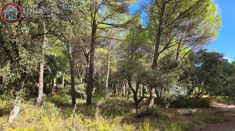 Albacete - Albacete - 10000m2