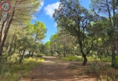 Sòl urbà en venda a Albacete ref.: TR344679 foto