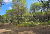 Sòl urbà en venda a Albacete ref.: TR344679 foto
