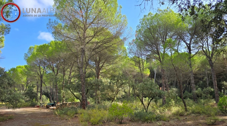Albacete - Albacete - 10000m2