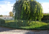 Отдельно стоящий дом с участком на продажу в городе Альбасете. Фото