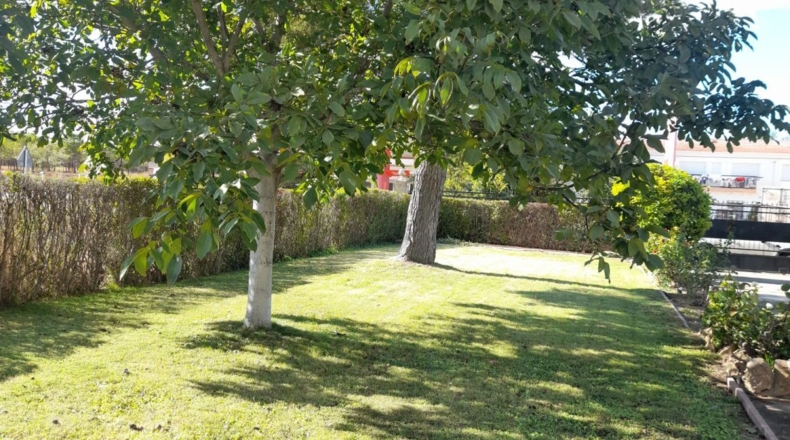 Albacete - Albacete - 2300m2