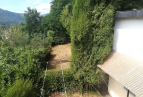 Foto 15