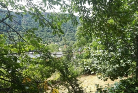Foto 17