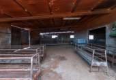 Non-developable land for sale in Aspe ref: TR306293 photo