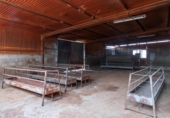Non-developable land for sale in Aspe ref: TR306293 photo