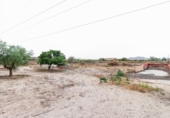 Non-developable land for sale in Aspe ref: TR306293 photo