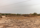 Non-developable land for sale in Aspe ref: TR306293 photo