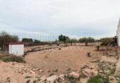 Finca rústica en venta en Crevillente ref: TR306315 foto