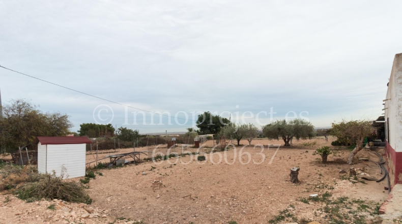Alicante - Crevillente - 6000m2