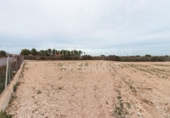 Finca rústica en venta en Crevillente ref: TR306315 foto