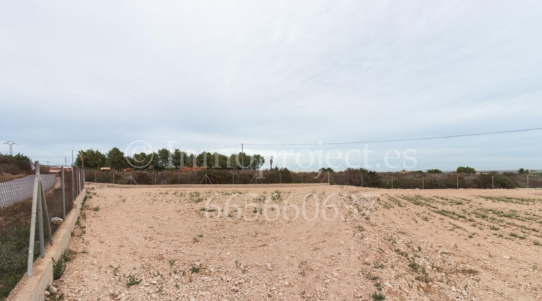 Alicante - Crevillente - 6000m2