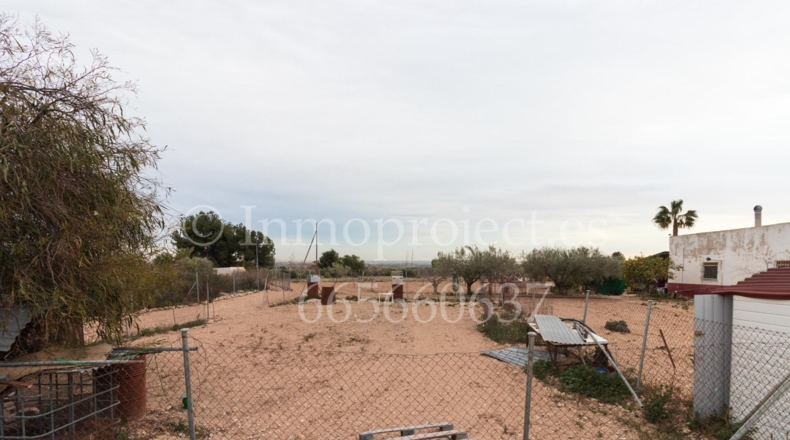 Alicante - Crevillente - 6000m2
