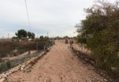 Finca rústica en venta en Crevillente ref: TR306315 foto