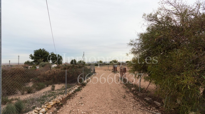 Alicante - Crevillente - 6000m2