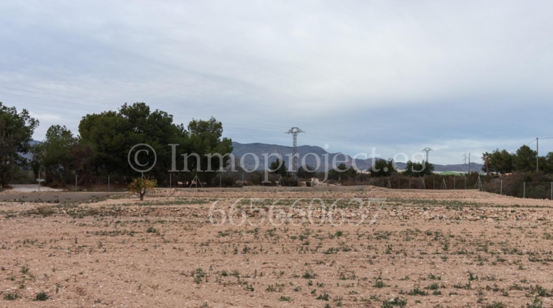 Alicante - Crevillente - 6000m2